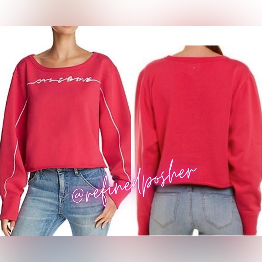 Rag & Bone Script Logo Cropped Hoodie size Large NWT Bright Rose MSRP $225